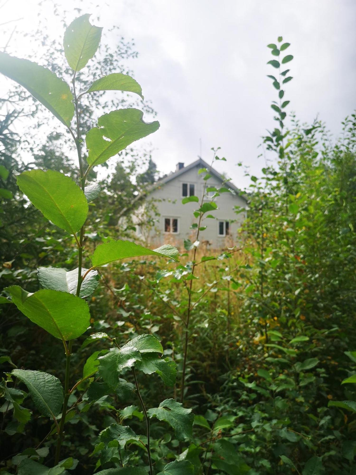 Villa Ka Stor Elvdal Koppang Esterno foto