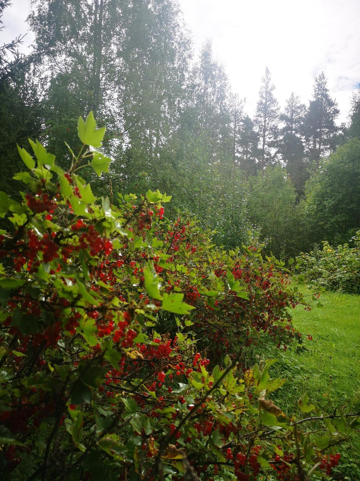 Villa Ka Stor Elvdal Koppang Esterno foto