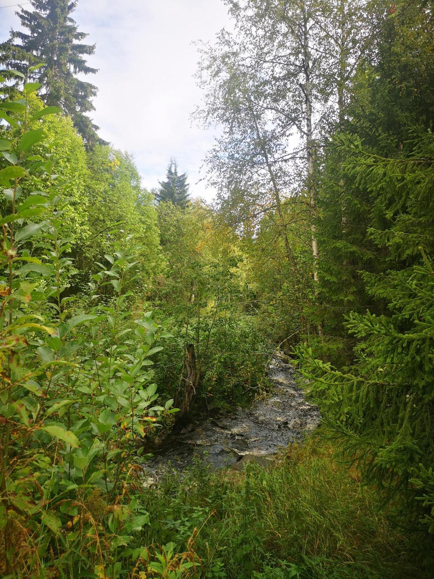 Villa Ka Stor Elvdal Koppang Esterno foto