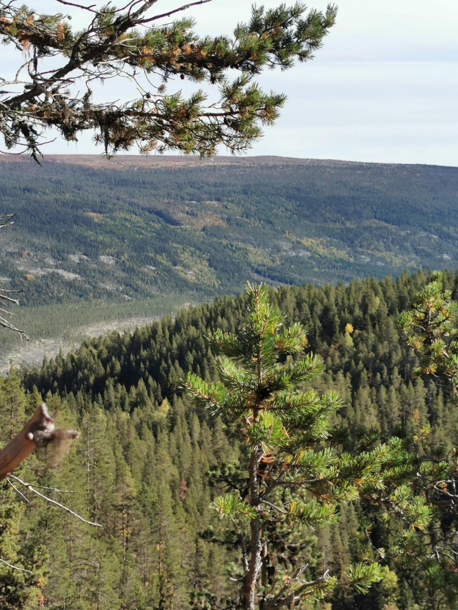 Villa Ka Stor Elvdal Koppang Esterno foto