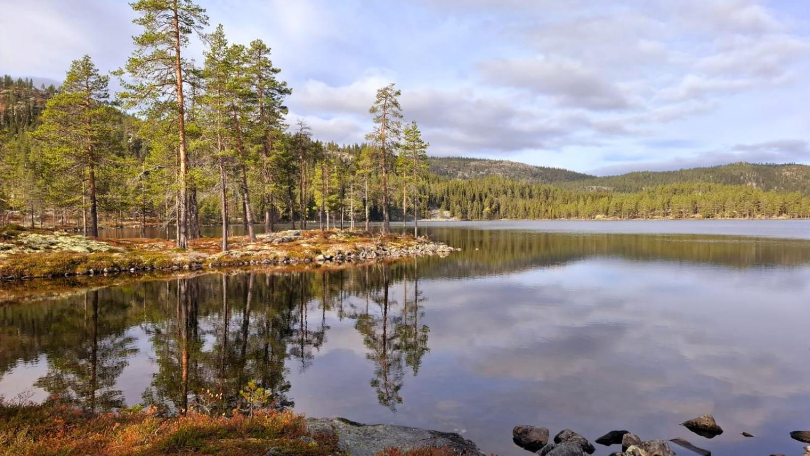 Villa Ka Stor Elvdal Koppang Esterno foto
