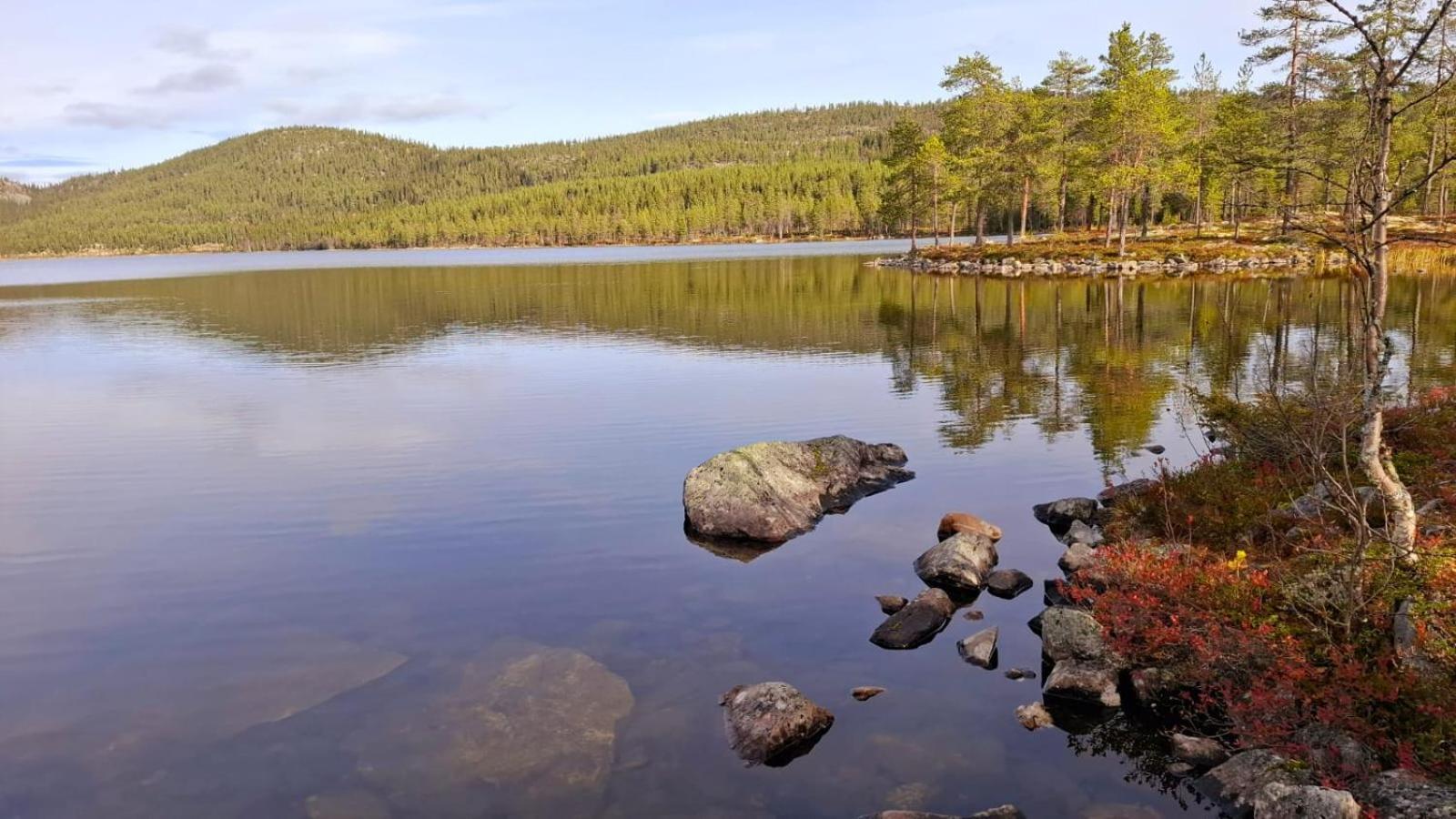 Villa Ka Stor Elvdal Koppang Esterno foto