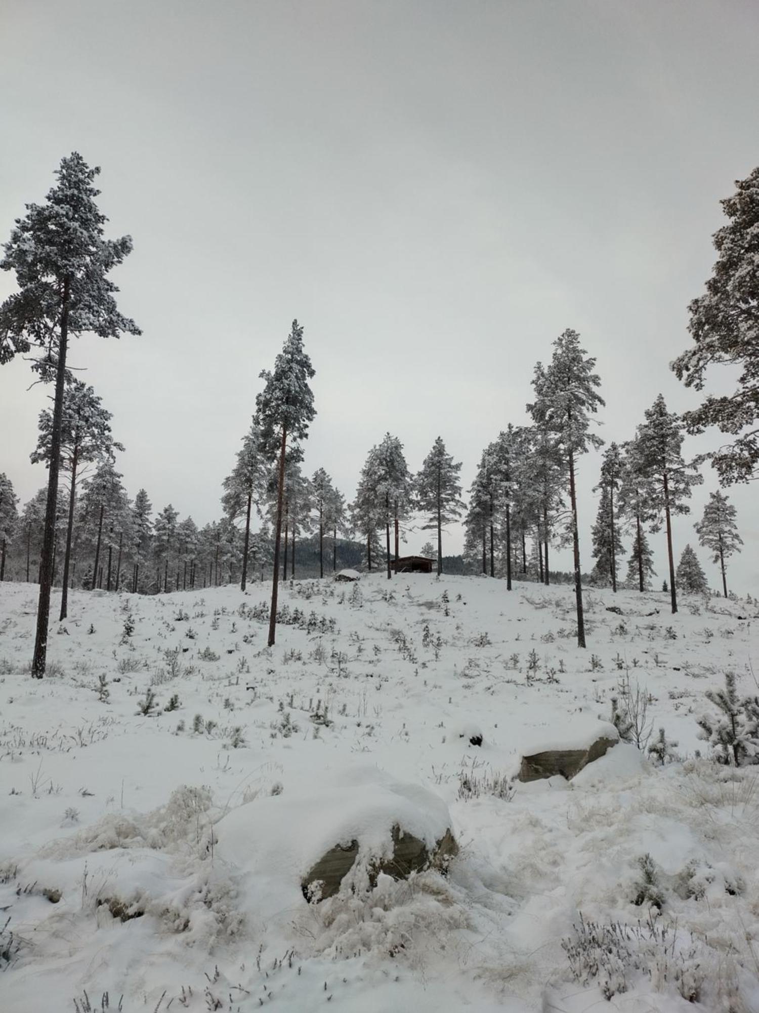 Villa Ka Stor Elvdal Koppang Esterno foto